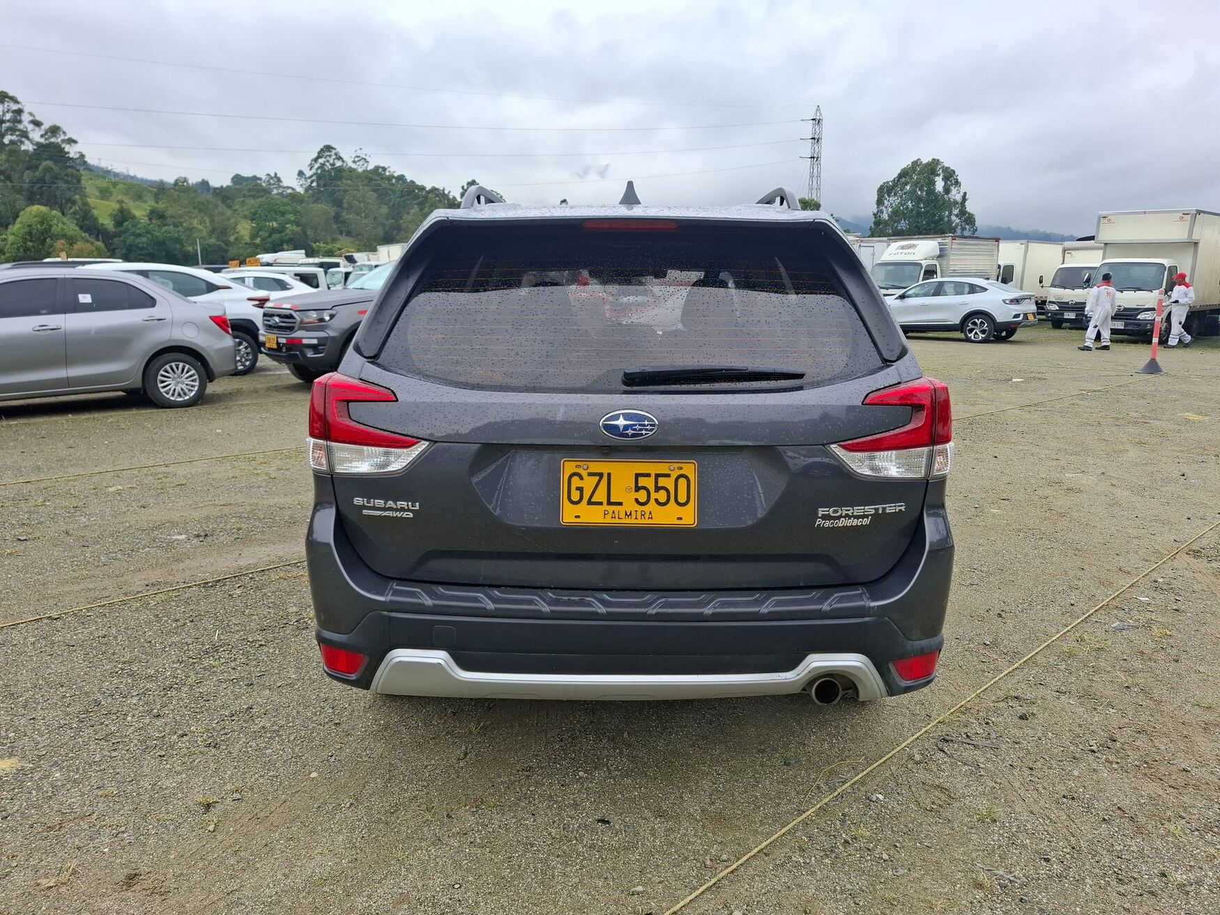 Subaru - Forester - 2020 image number 8